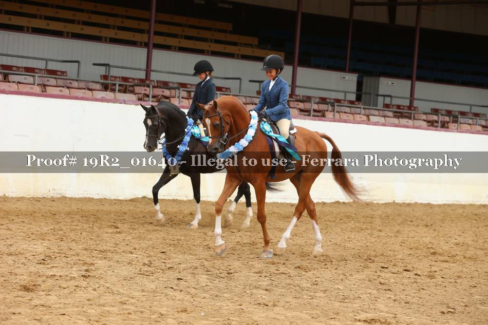Proof 19R2_01640