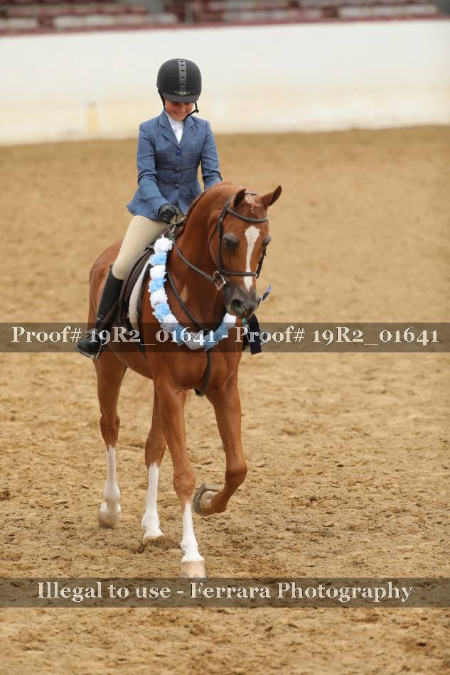 Proof 19R2_01641