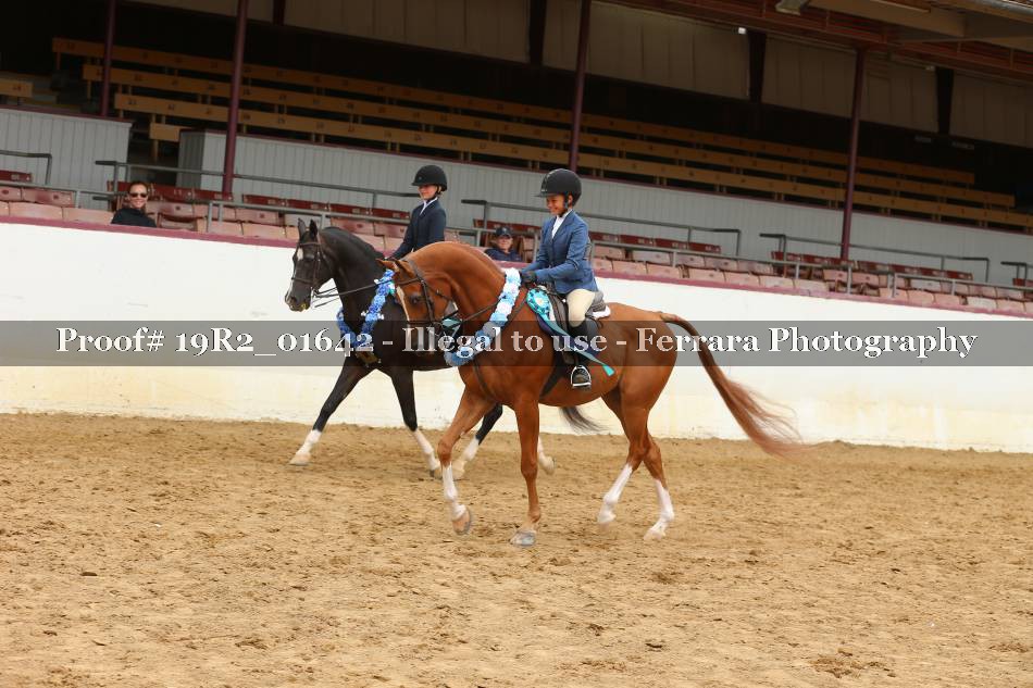 Proof 19R2_01642