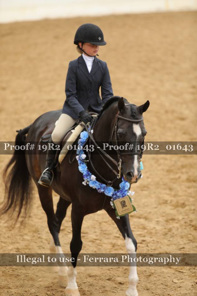 Proof 19R2_01643