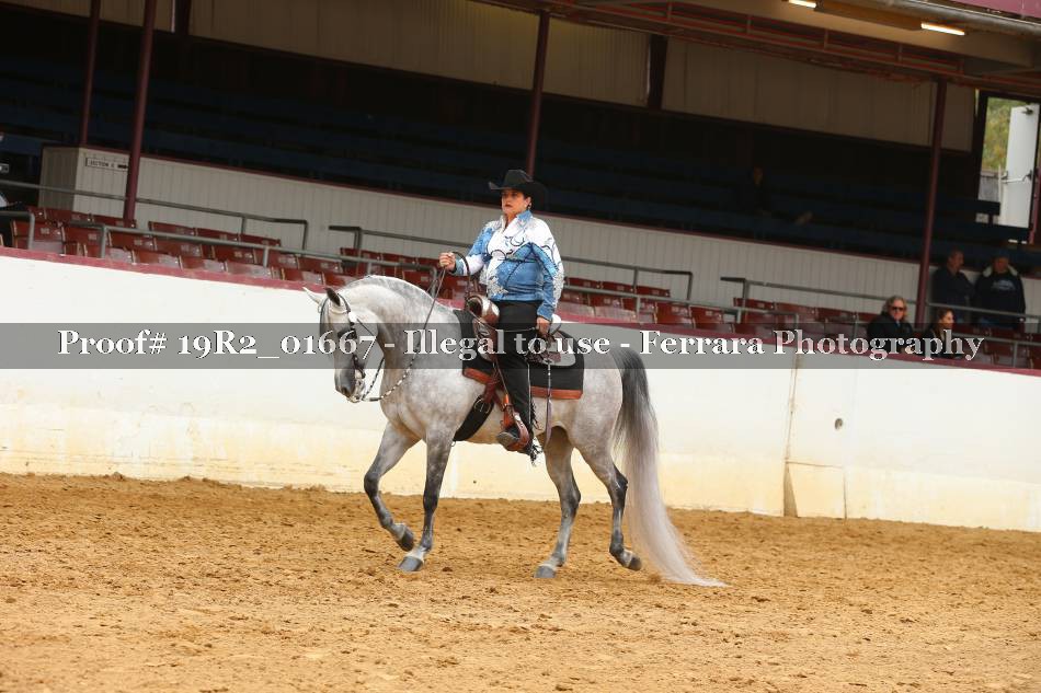 Proof 19R2_01667