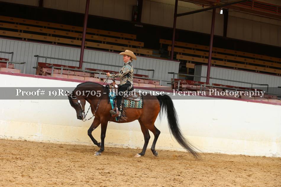 Proof 19R2_01705