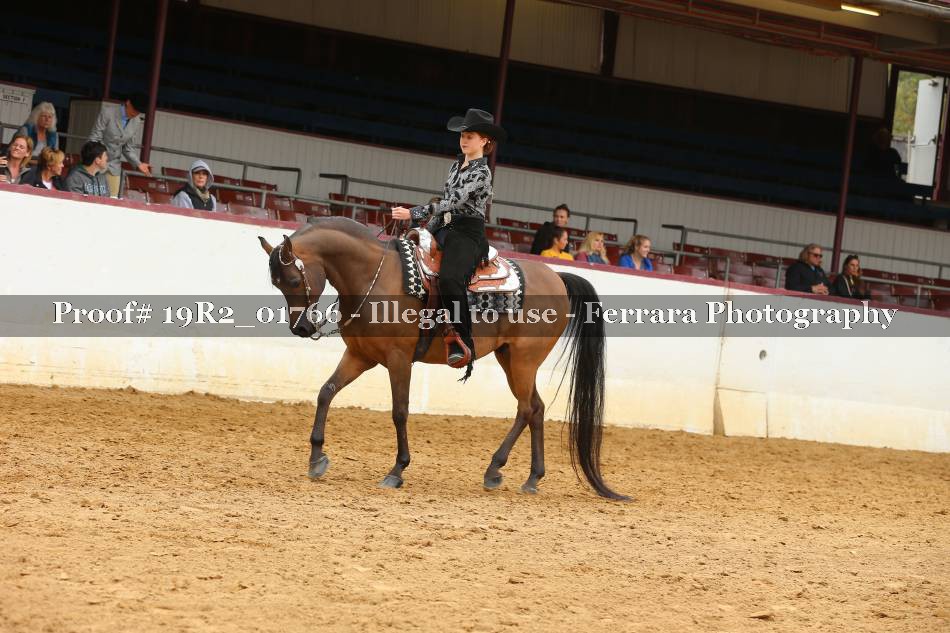Proof 19R2_01766