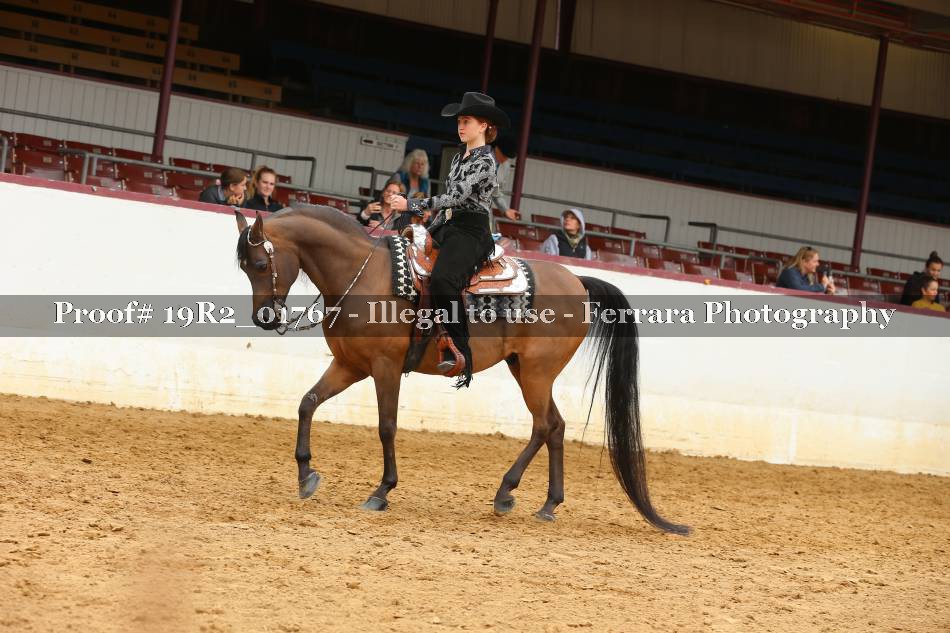 Proof 19R2_01767
