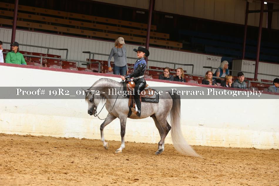 Proof 19R2_01772