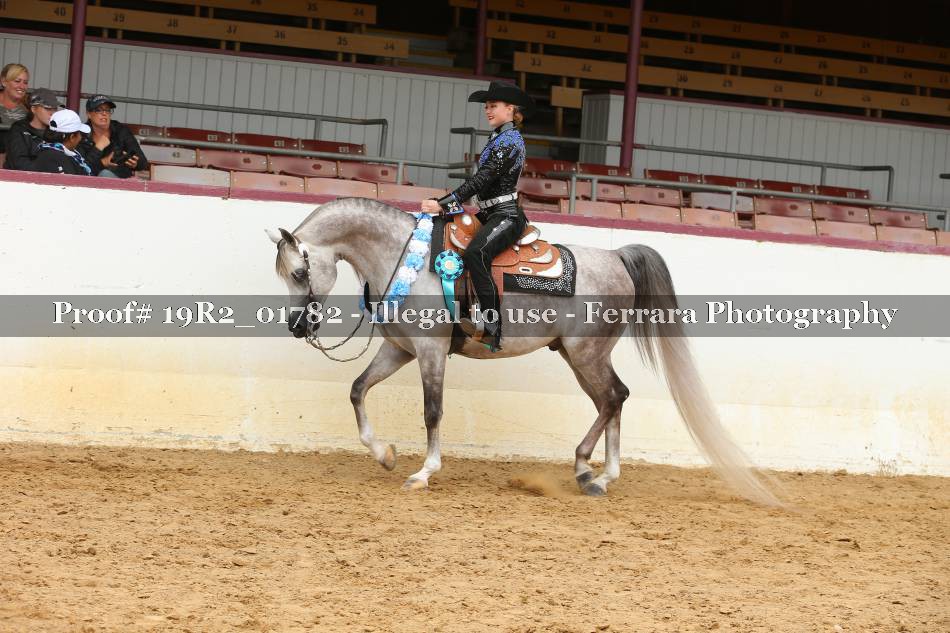 Proof 19R2_01782