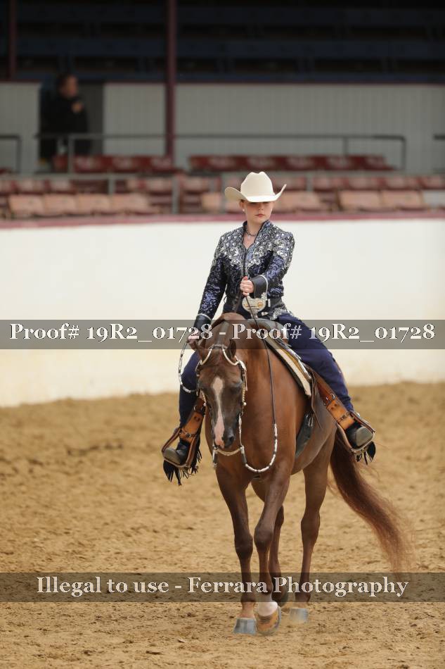 Proof 19R2_01728