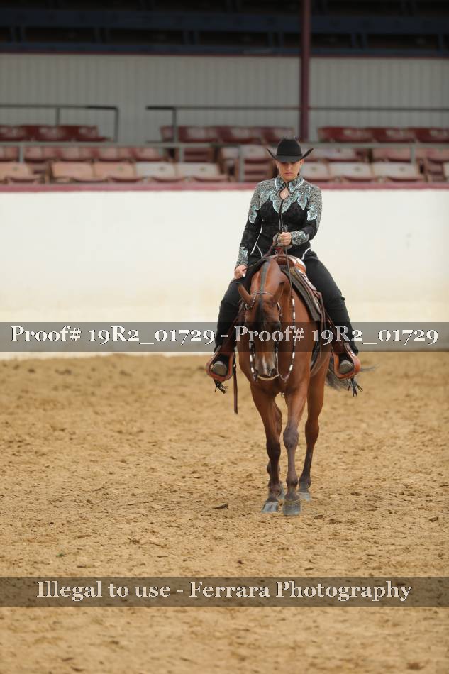 Proof 19R2_01729