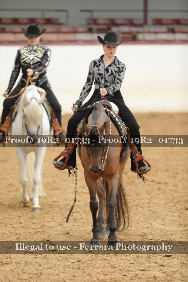 Proof 19R2_01733