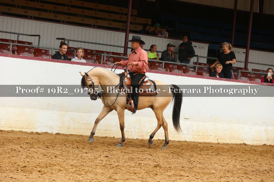 Proof 19R2_01795