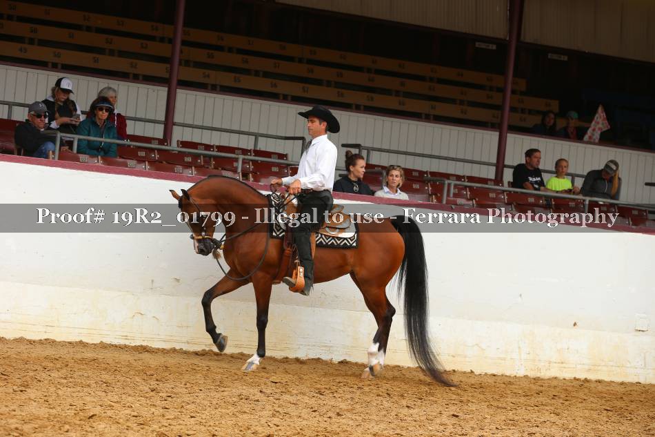 Proof 19R2_01799