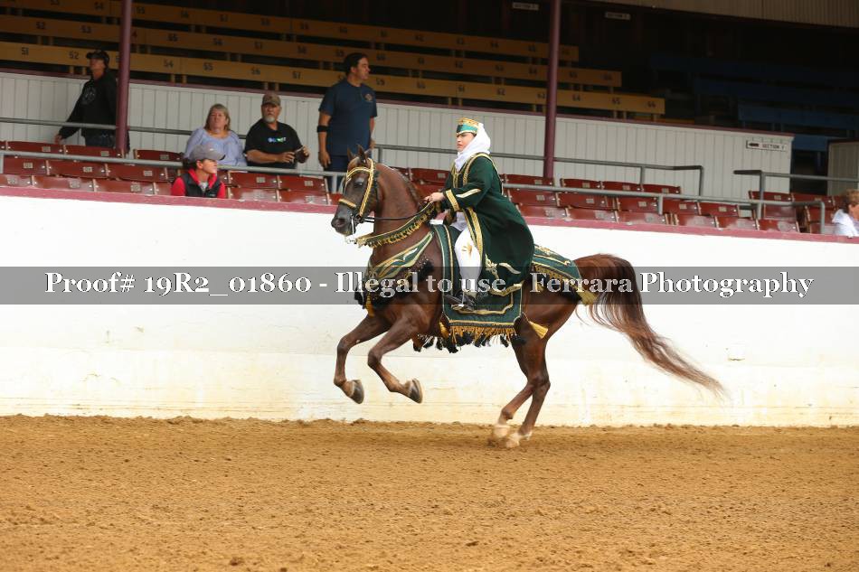Proof 19R2_01860
