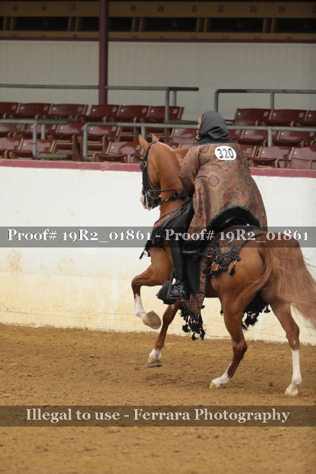 Proof 19R2_01861