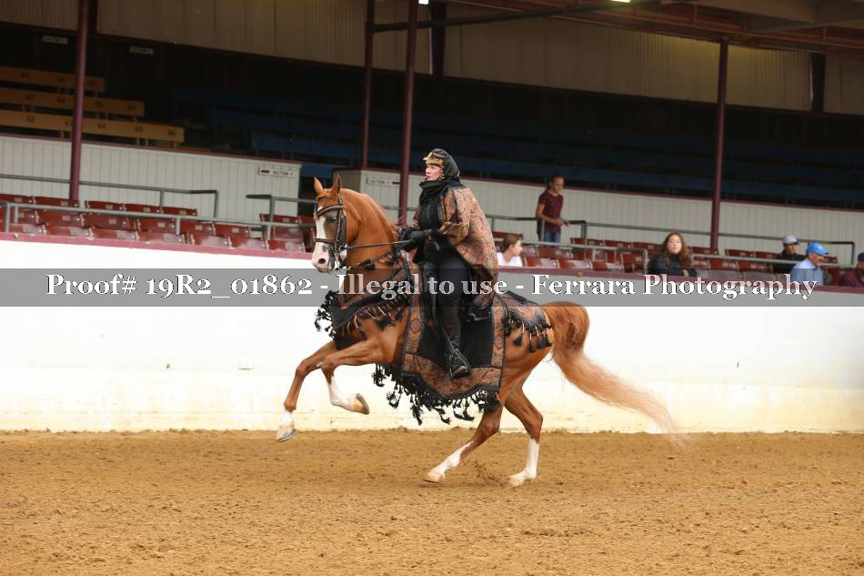 Proof 19R2_01862