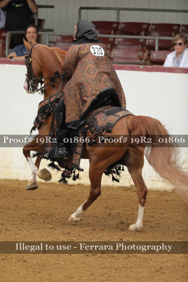 Proof 19R2_01866