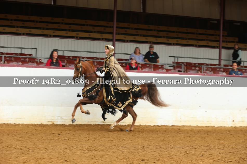 Proof 19R2_01869