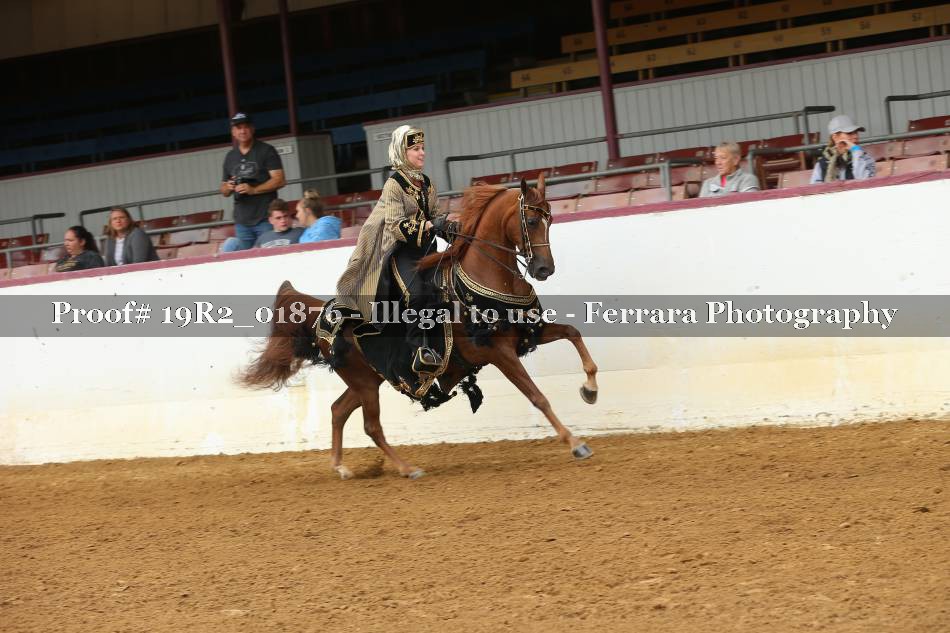 Proof 19R2_01876