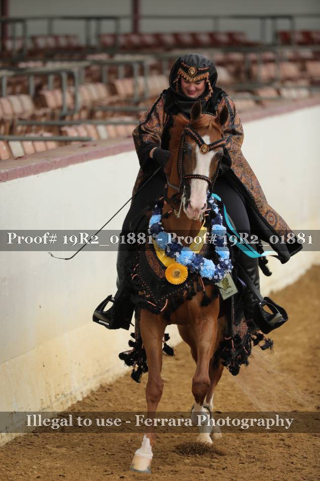 Proof 19R2_01881