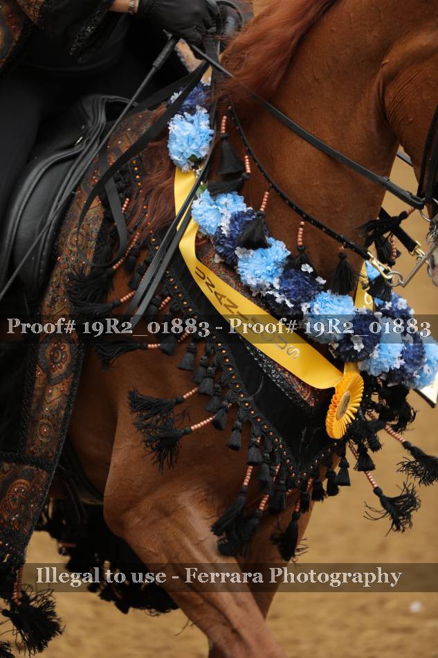 Proof 19R2_01883