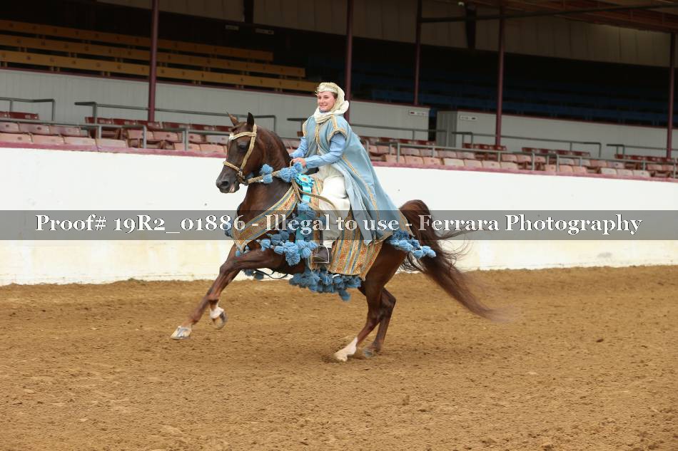 Proof 19R2_01886