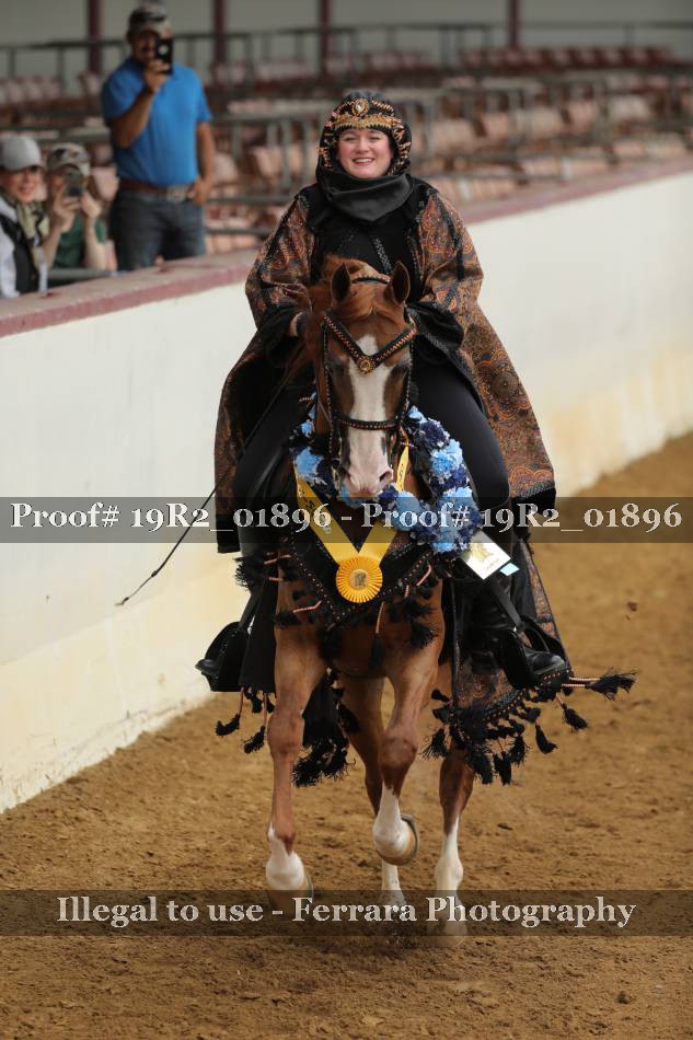 Proof 19R2_01896