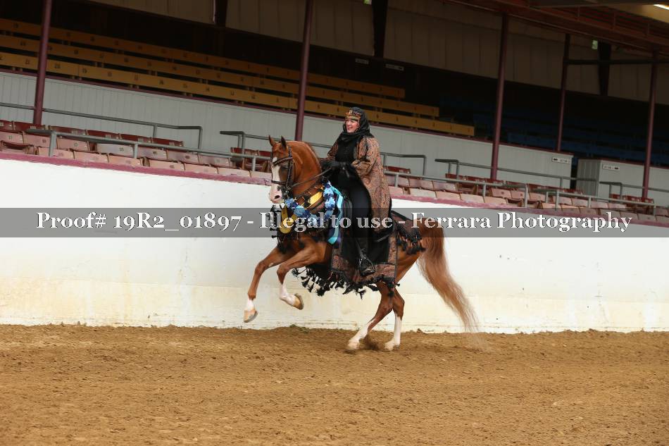 Proof 19R2_01897