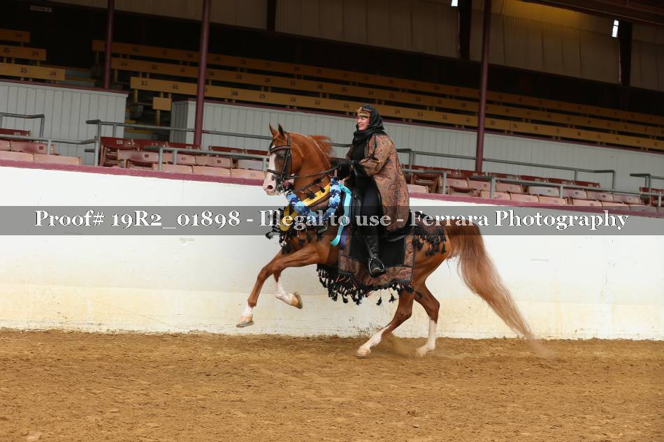 Proof 19R2_01898