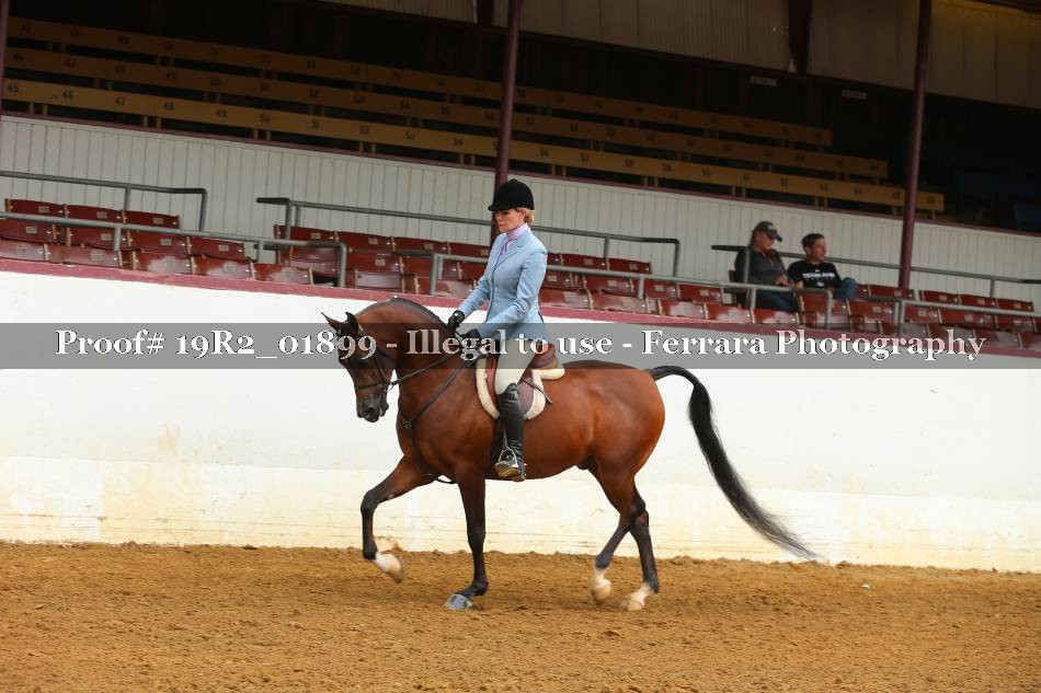 Proof 19R2_01899