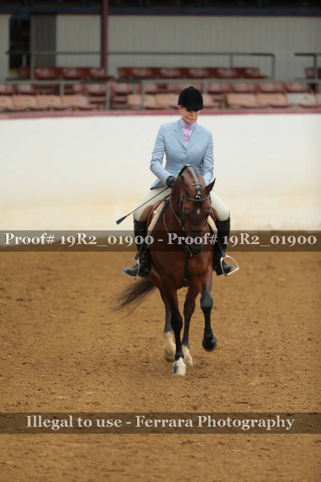 Proof 19R2_01900