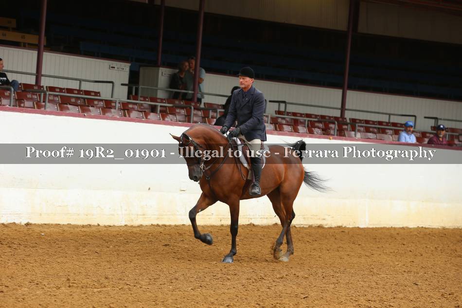 Proof 19R2_01901