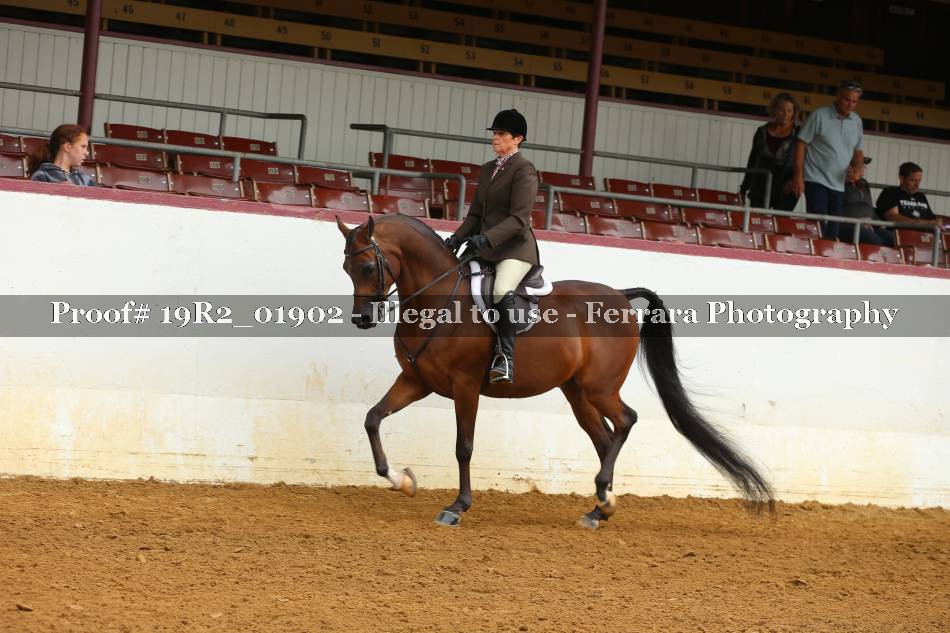 Proof 19R2_01902