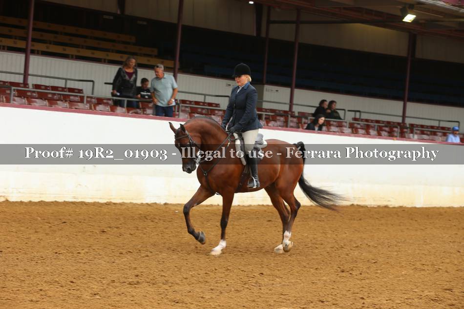 Proof 19R2_01903