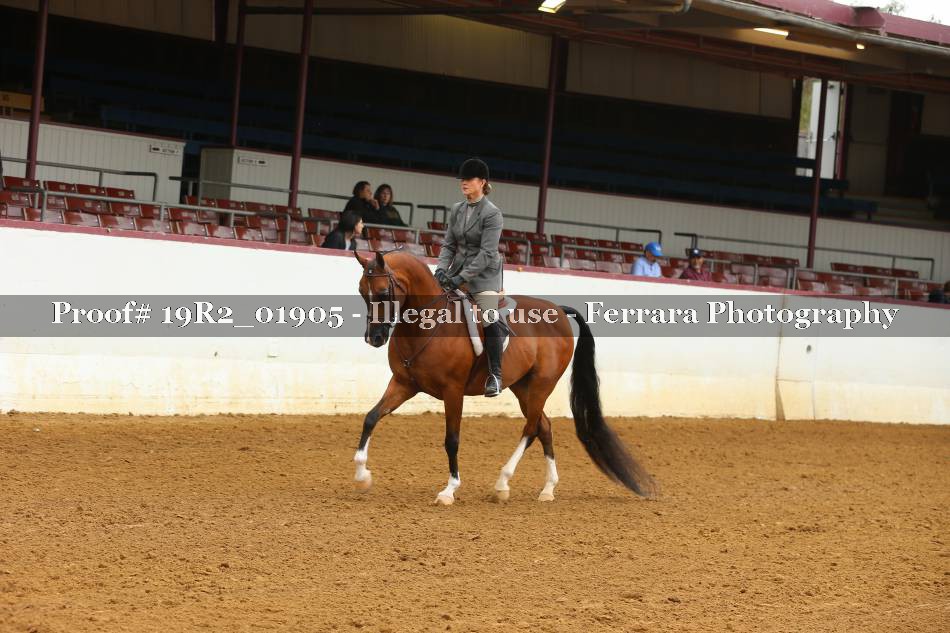 Proof 19R2_01905