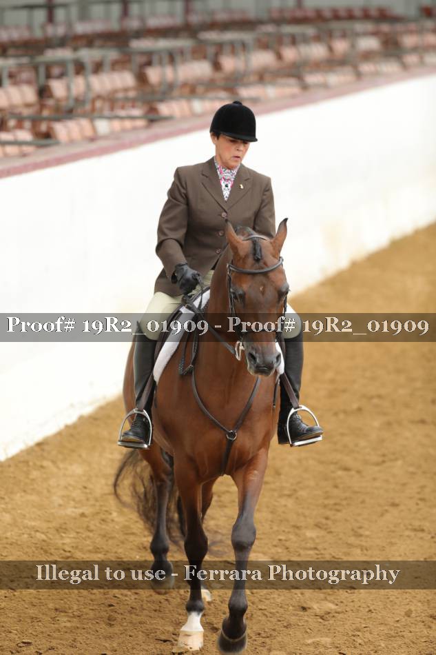 Proof 19R2_01909