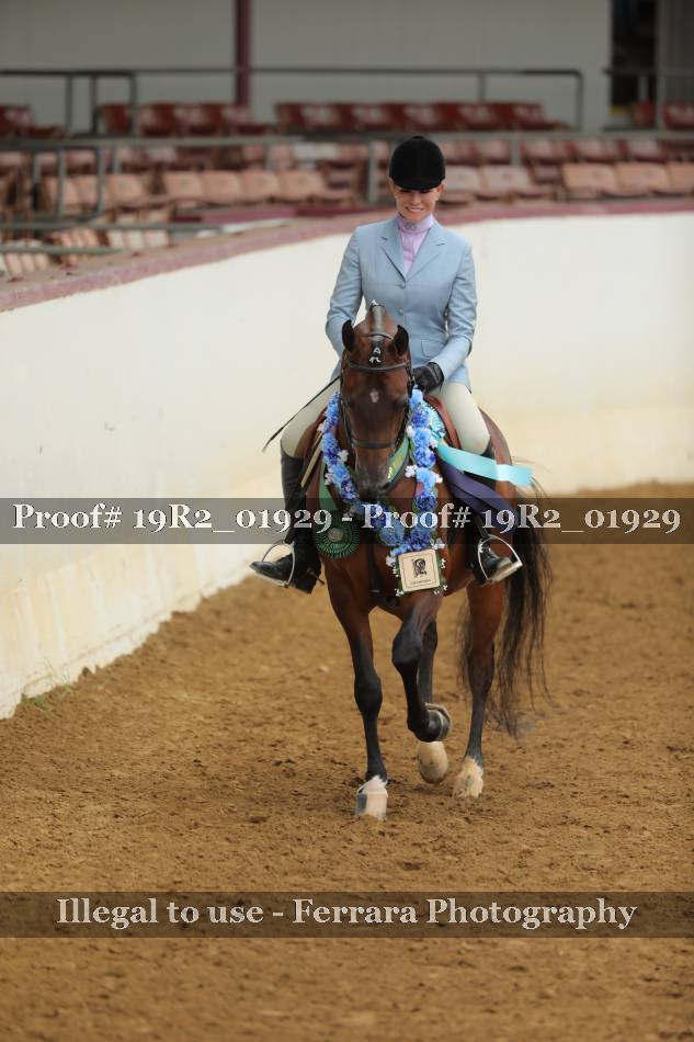 Proof 19R2_01929