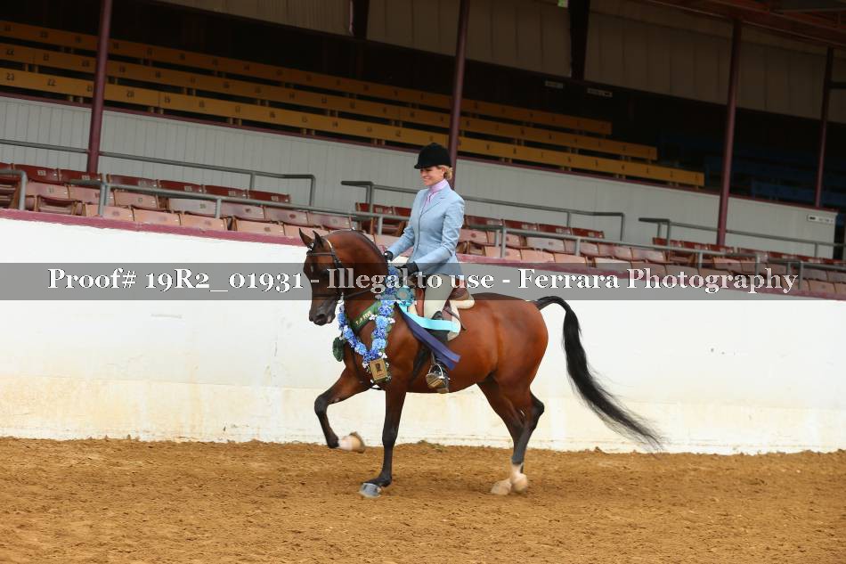 Proof 19R2_01931