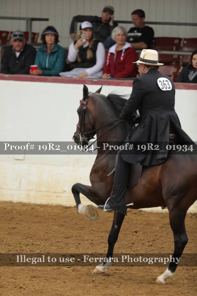 Proof 19R2_01934