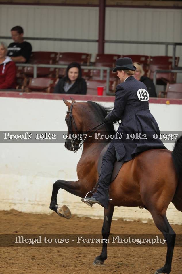 Proof 19R2_01937