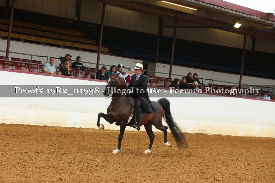 Proof 19R2_01938