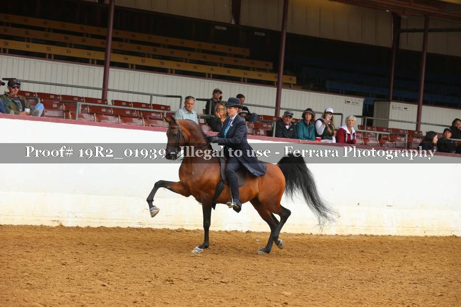 Proof 19R2_01939