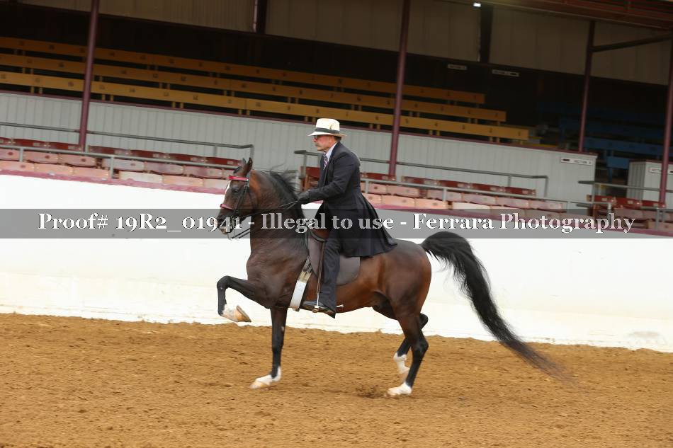 Proof 19R2_01941