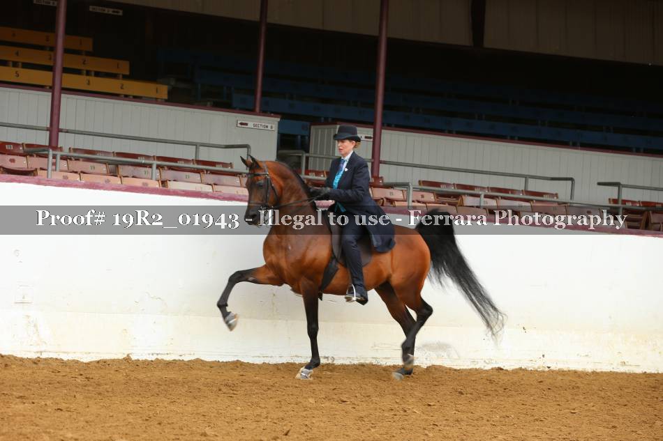 Proof 19R2_01943