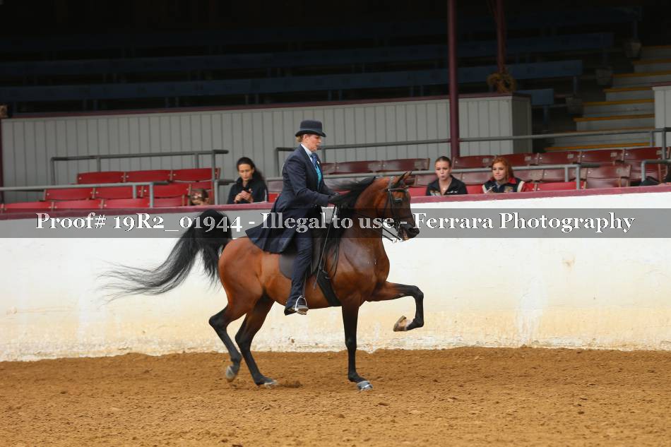 Proof 19R2_01944