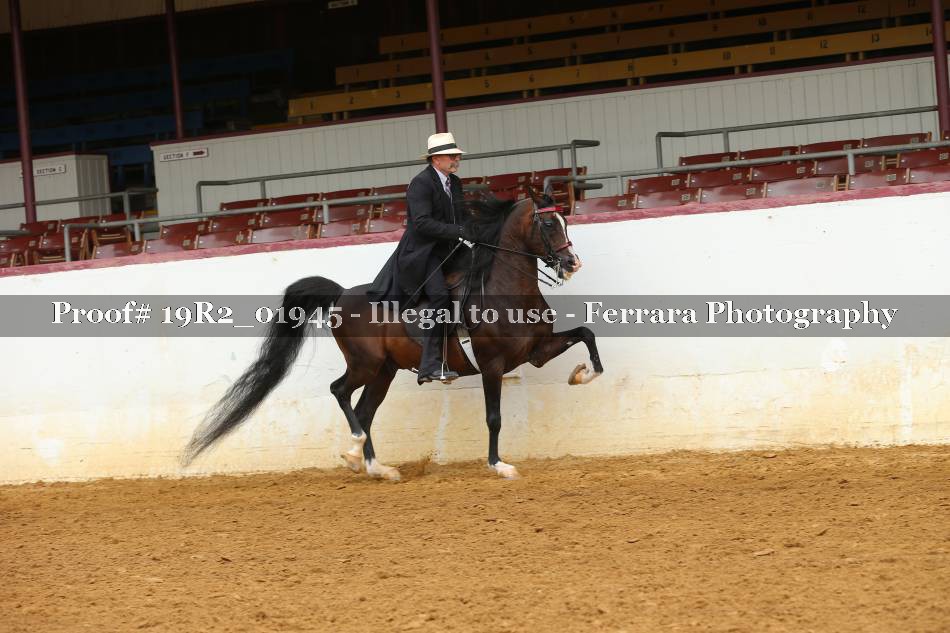 Proof 19R2_01945