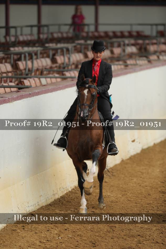 Proof 19R2_01951