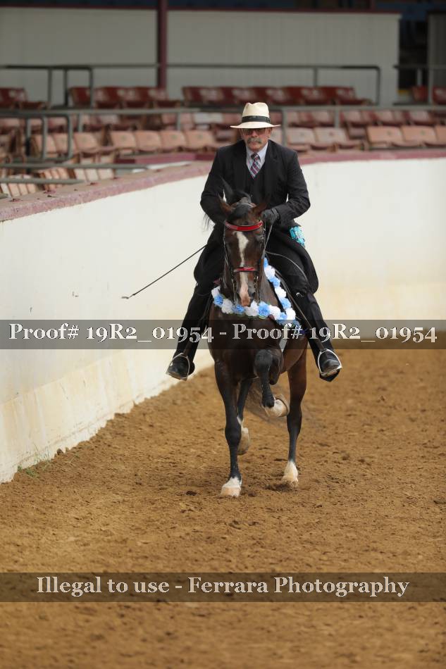 Proof 19R2_01954