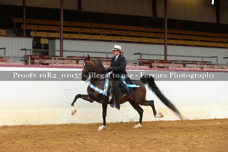 Proof 19R2_01955