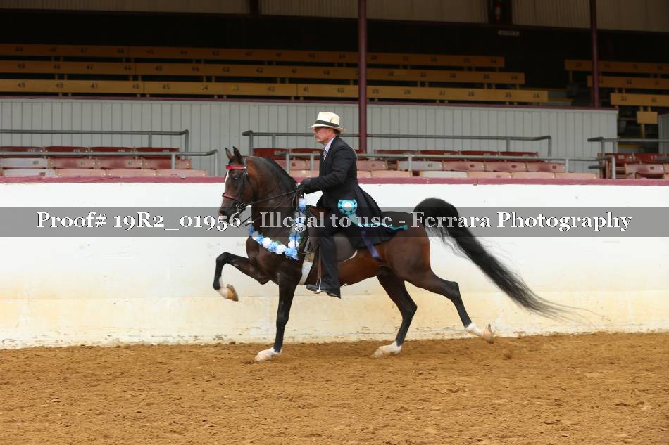 Proof 19R2_01956