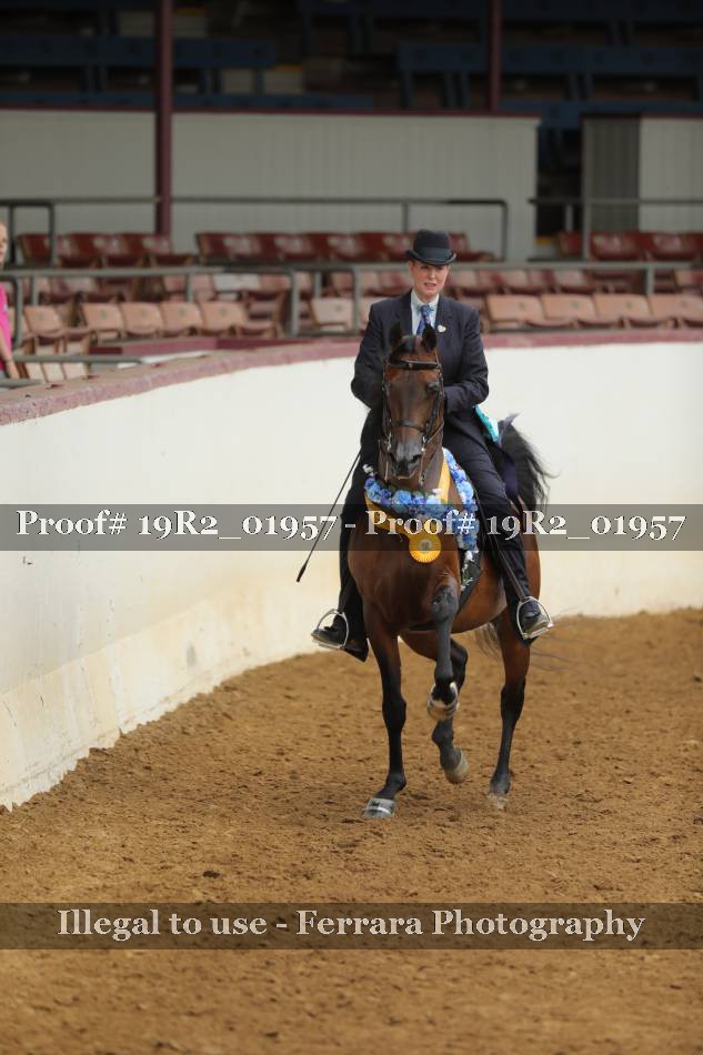 Proof 19R2_01957