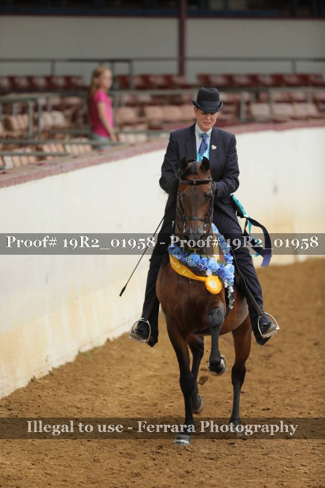 Proof 19R2_01958